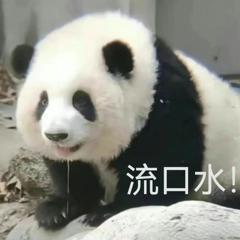 韩国现在有五级网吗疾风版