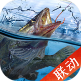 普京访华