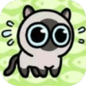 白玉兰奖v9.5.6 安卓手机版